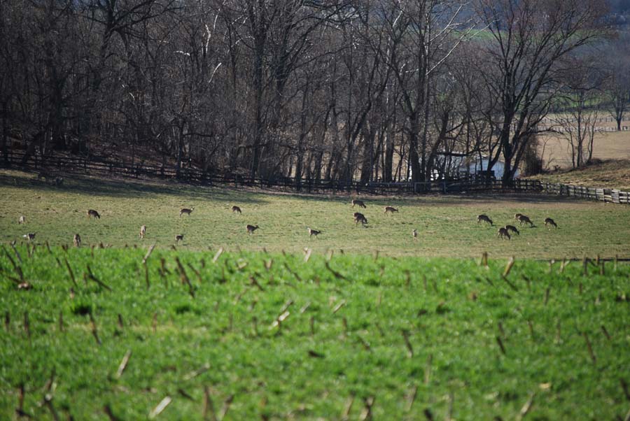 Private Hunting Land – Real, or a Dream?